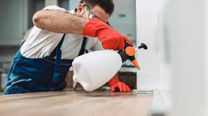 Best Emergency Pest Control  in Temple City, CA